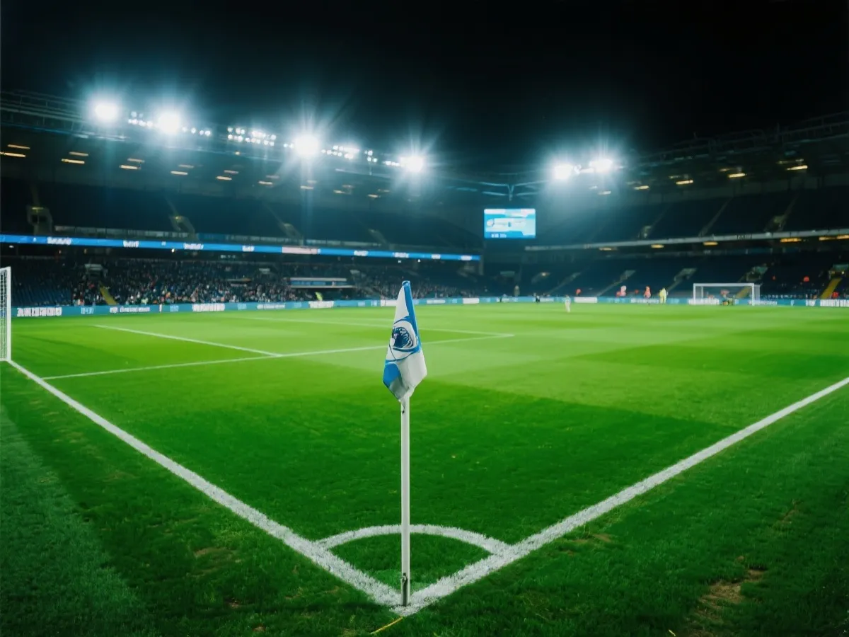 夜间比赛氛围插图